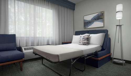 Room, 1 King Bed with Sofa bed (Hearing Accessible)