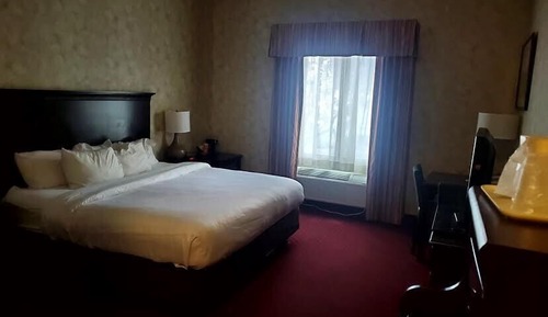Room, 1 King Bed, Accessible, Non Smoking (Roll-In Shower)