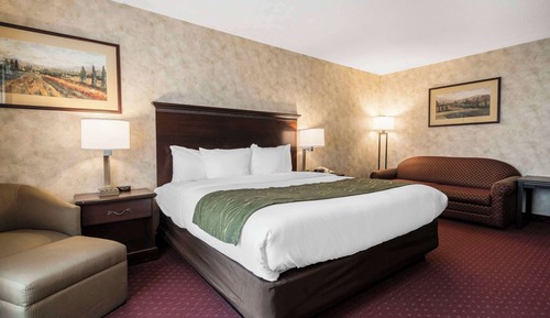 Suite, 1 King Bed with Sofa bed, Accessible, Non Smoking