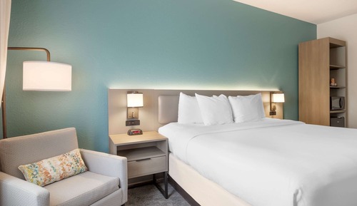 Room, 1 King Bed, Accessible (Roll-In Shower)