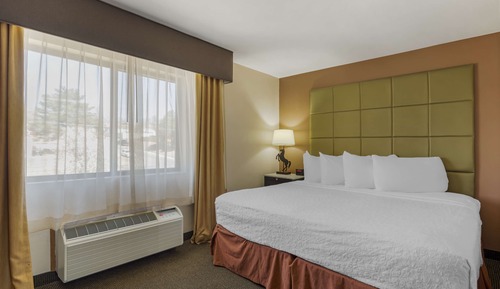 Standard Room, 1 Queen Bed, Non Smoking, Refrigerator & Microwave