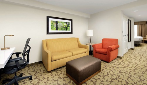 Suite, 1 King Bed with Sofa bed