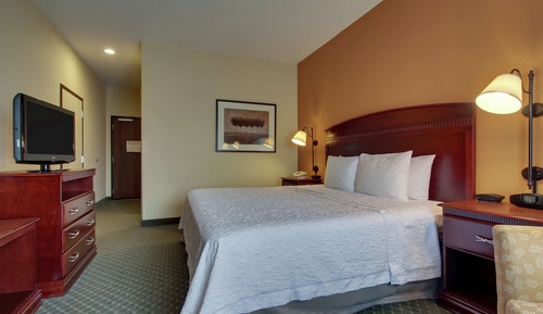 Room, 1 King Bed, Accessible, Non Smoking (Roll-in Shower)