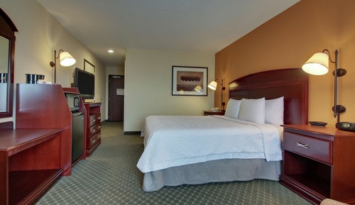 Room, 1 King Bed, Non Smoking, Bathtub