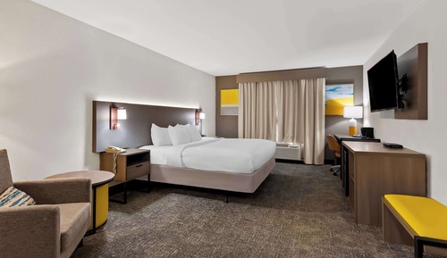 Standard Room, 1 King Bed, Non Smoking