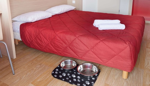 Standard Room, 1 Double Bed