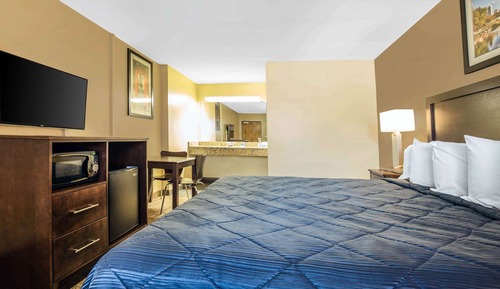 Standard Room, 1 King Bed, Non Smoking