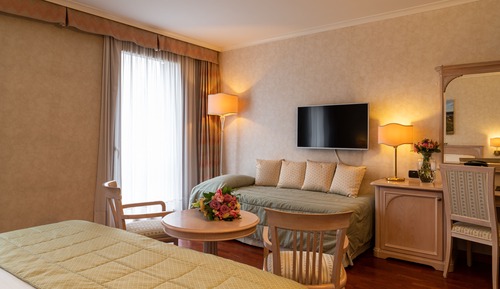 Superior Double or Twin Room
