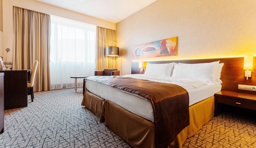 Standard Room, 1 King Bed, Mountain View