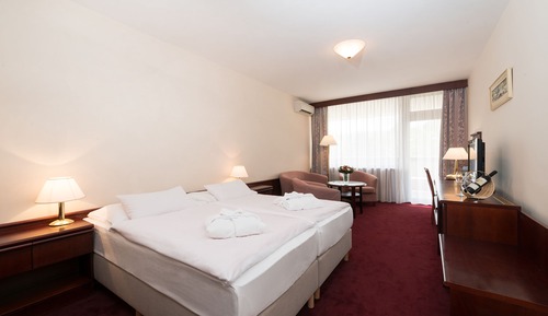 Standard Room (Alameda Wing)