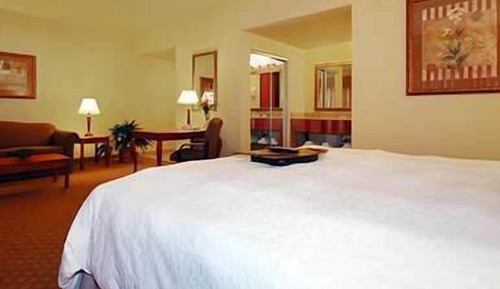 Room, 1 King Bed, Accessible, Non Smoking