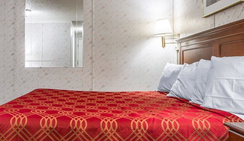 Standard Room, 1 King Bed, Non Smoking