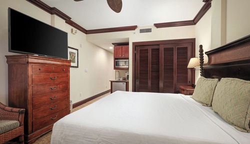 Studio, 1 King Bed