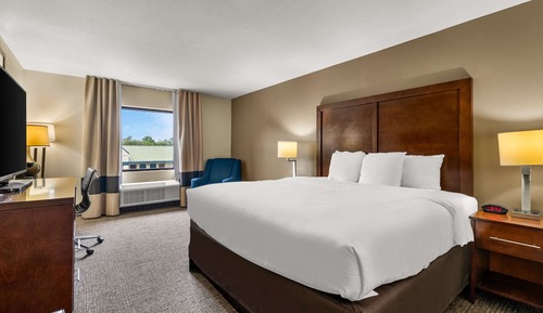 Standard Room, 1 King Bed, Non Smoking