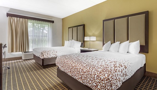 Standard Room, 2 Queen Beds, Non Smoking, Refrigerator & Microwave