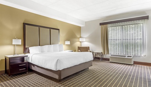 Standard Room, 1 King Bed, Non Smoking, Refrigerator & Microwave