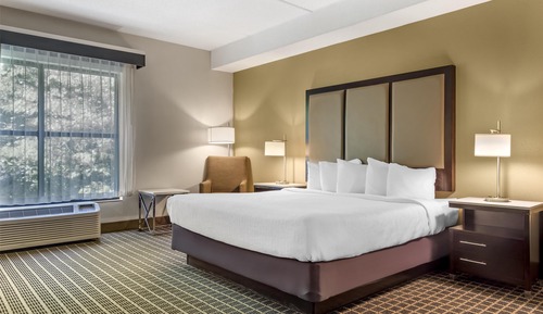 Standard Room, 1 King Bed, Accessible, Non Smoking