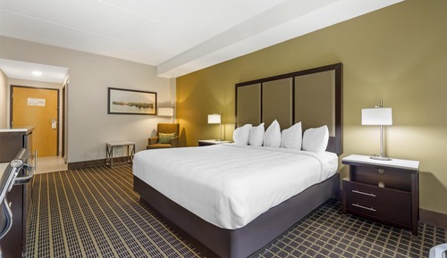 Standard Room, 1 King Bed, Non Smoking