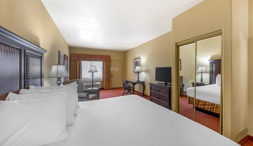 Executive Room, 1 King Bed, Non Smoking, Refrigerator & Microwave
