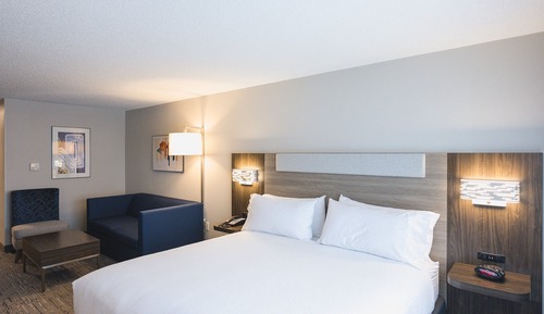 Suite, 1 King Bed