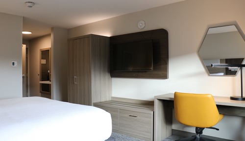 Standard Room, 1 King Bed, Accessible (Mobility, Roll-In Shower)