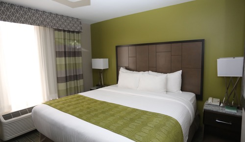 Club Room, 1 King Bed, Non Smoking