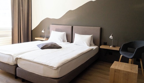 Standard Room (twin bed)