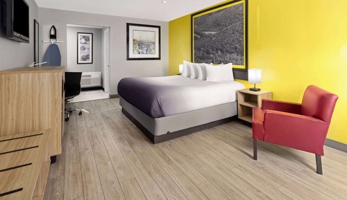 Room, 1 King Bed, Smoking