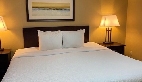 Basic Suite, 1 King Bed