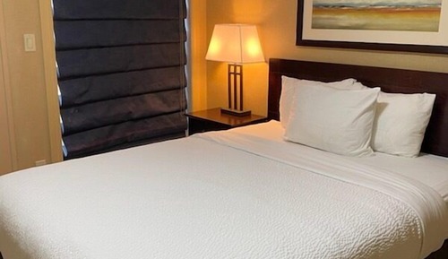 Basic Suite, 1 Queen Bed