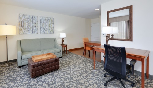 Suite, 1 King Bed, Non Smoking