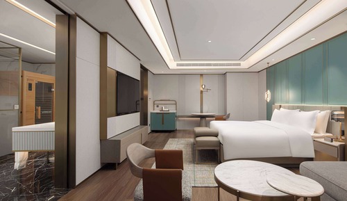 Business Room, 1 Twin Bed (Deluxe)