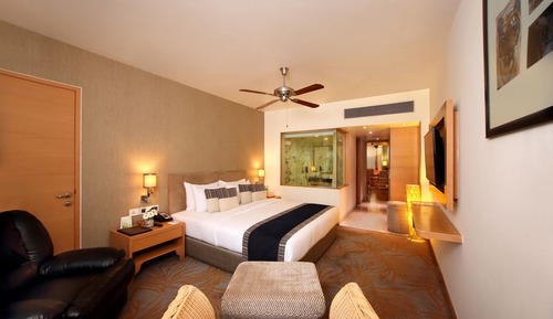 Standard Suite