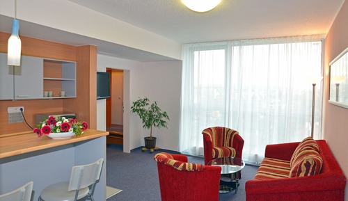 Standard Apartment, 1 King Bed with Sofa bed (free Panorama Vitality Point Spa)