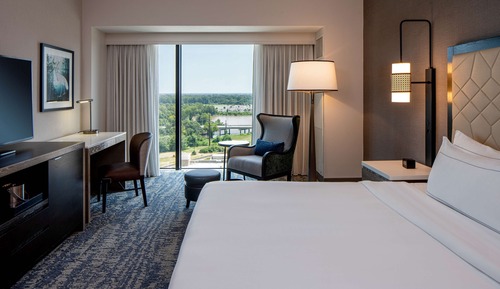 Room, 1 King Bed