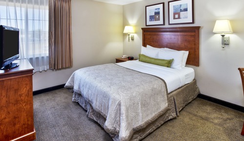 Studio Suite, 1 Queen Bed