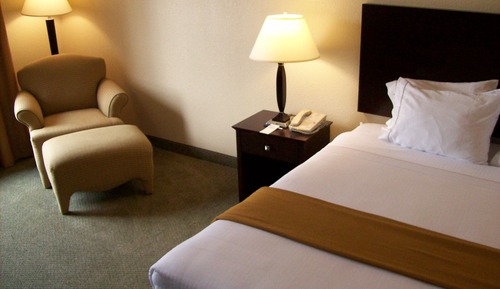 Suite, 1 King Bed with Sofa bed