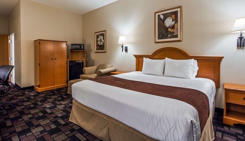 Standard Room, 1 King Bed, Non Smoking, Refrigerator & Microwave