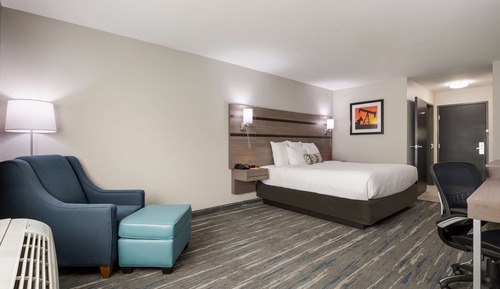 Standard Room, 1 King Bed, Non Smoking, Refrigerator & Microwave