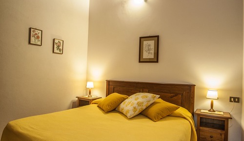 Standard Apartment, 2 Bedrooms Situated about 600 meters from the main building