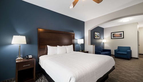 Suite, 1 King Bed, Accessible, Refrigerator & Microwave (with Sofabed)