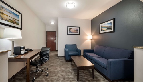 Suite, 1 King Bed, Non Smoking, Refrigerator & Microwave (with Sofabed)