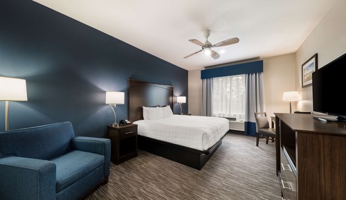Standard Room, 1 King Bed, Accessible, Non Smoking