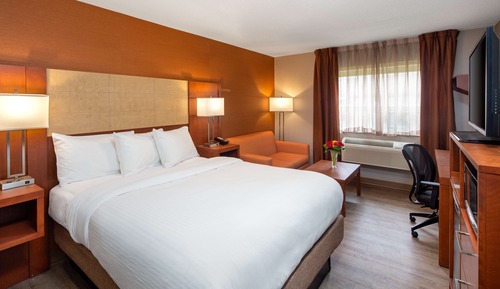 Room, 1 King Bed