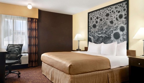 Room, 1 King Bed, Non Smoking