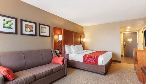 Room, 1 King Bed, Accessible, Non Smoking