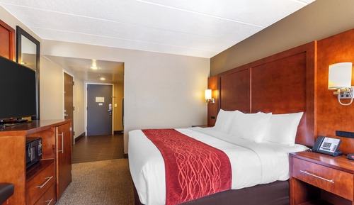 Standard Room, 1 King Bed, Non Smoking