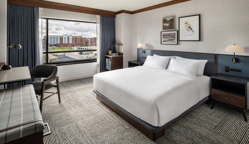 Room, 1 King Bed, Accessible (Roll-In Shower)