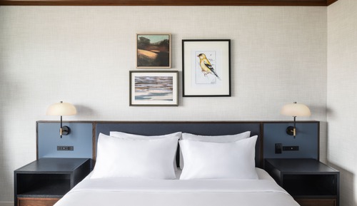 Room, 1 King Bed