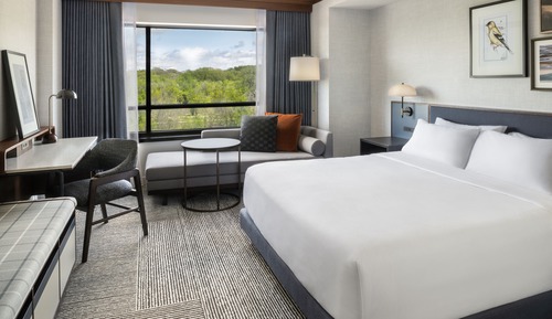Room, 1 King Bed, River View